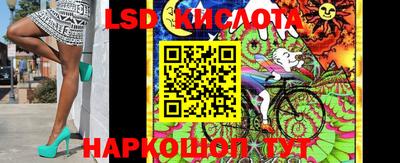 mdpv Новозыбков
